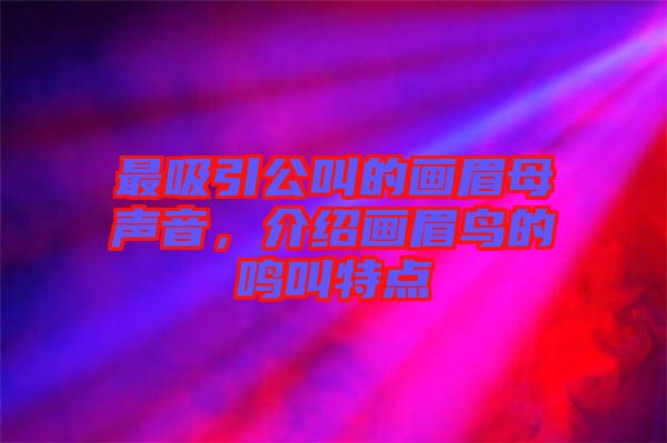 最吸引公叫的畫眉母聲音，介紹畫眉鳥的鳴叫特點