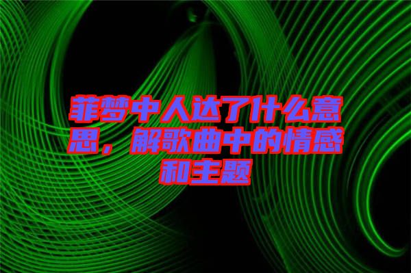 菲夢中人達了什么意思，解歌曲中的情感和主題