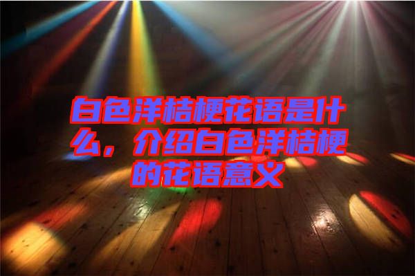白色洋桔?；ㄕZ是什么，介紹白色洋桔梗的花語意義