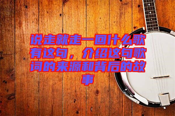 說走就走一回什么歌有這句，介紹這句歌詞的來源和背后的故事