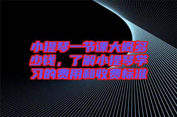 小提琴一節課大概多少錢，了解小提琴學習的費用和收費標準