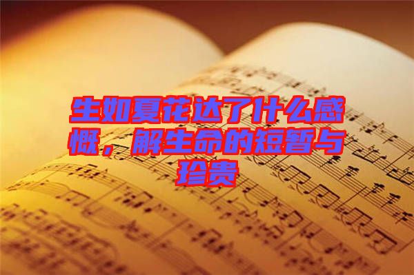 生如夏花達了什么感慨，解生命的短暫與珍貴