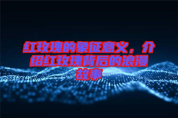 紅玫瑰的象征意義，介紹紅玫瑰背后的浪漫故事