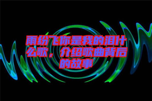 雨紛飛你是我的淚什么歌，介紹歌曲背后的故事