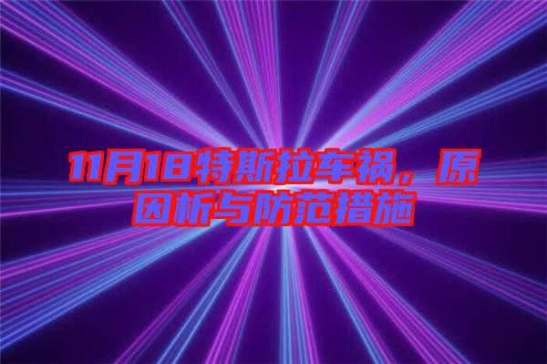 11月18特斯拉車禍，原因析與防范措施