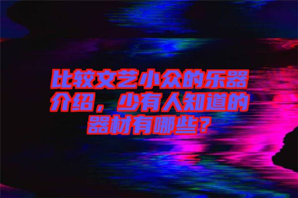 比較文藝小眾的樂器介紹，少有人知道的器材有哪些？