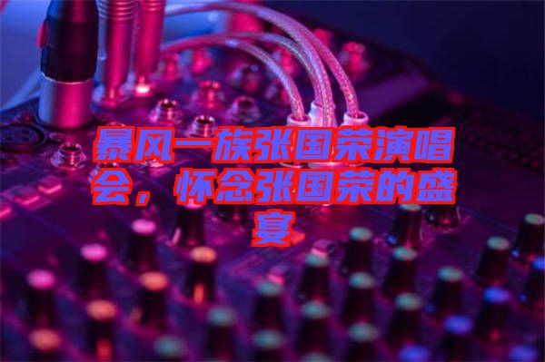 暴風一族張國榮演唱會，懷念張國榮的盛宴