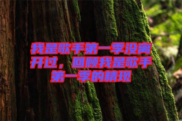 我是歌手第一季沒離開過(guò)，回顧我是歌手第一季的精現(xiàn)