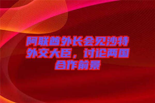 阿聯酋外長會見沙特外交大臣，討論兩國合作前景