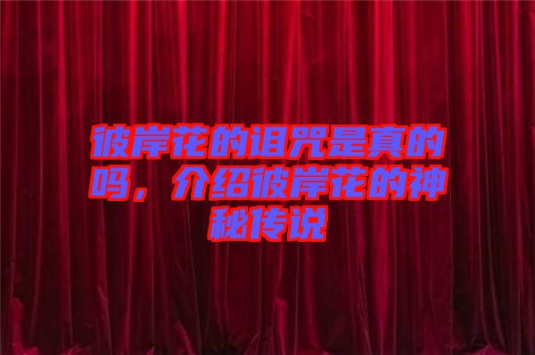 彼岸花的詛咒是真的嗎，介紹彼岸花的神秘傳說