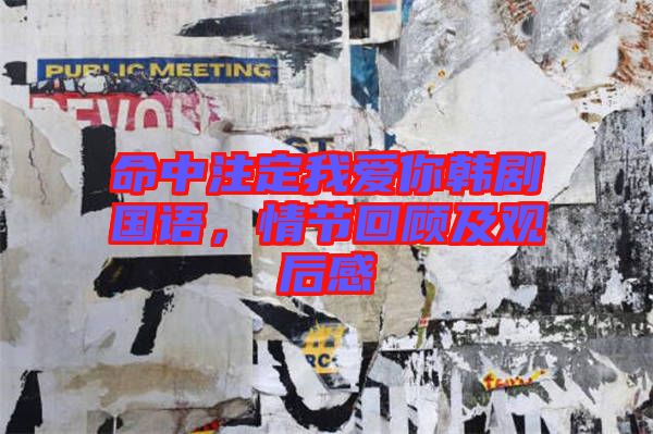 命中注定我愛你韓劇國語，情節回顧及觀后感
