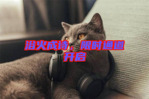 浴火成詩，限時通道開啟