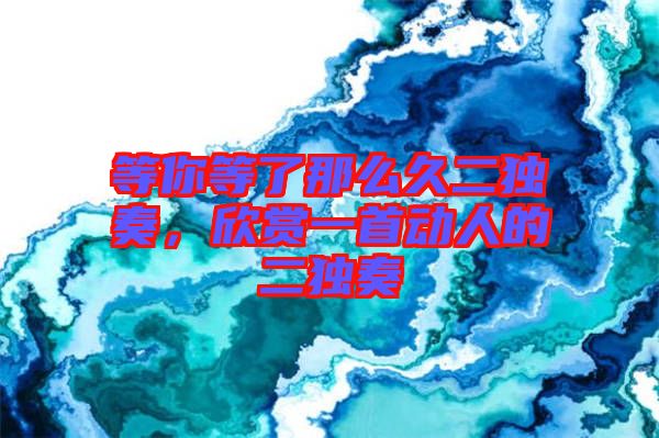 等你等了那么久二獨(dú)奏，欣賞一首動人的二獨(dú)奏