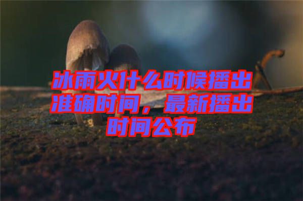 冰雨火什么時候播出準確時間，最新播出時間公布