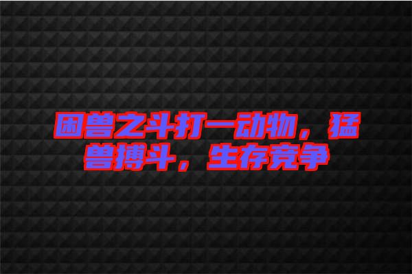 困獸之斗打一動物，猛獸搏斗，生存競爭