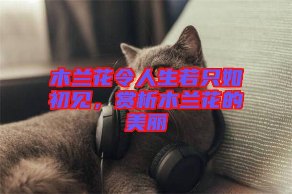 木蘭花令人生若只如初見，賞析木蘭花的美麗