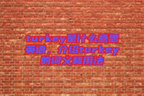 turkey是什么意思英語，介紹turkey的詞義和用法