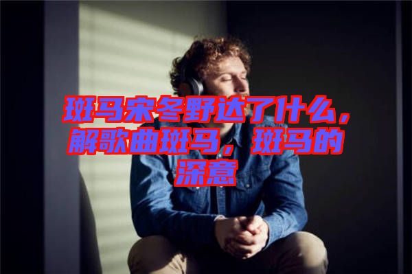 斑馬宋冬野達(dá)了什么，解歌曲斑馬，斑馬的深意