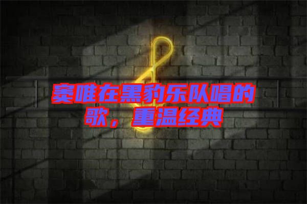 竇唯在黑豹樂隊唱的歌，重溫經典