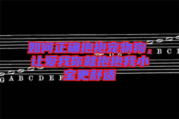 如何正確抱抱寵物狗，讓愛我你就抱抱我小寶更舒適