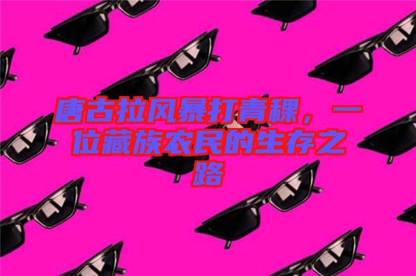 唐古拉風(fēng)暴打青稞，一位藏族農(nóng)民的生存之路