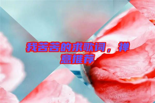 我苦苦的求歌詞，禪意推薦