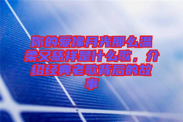 你的愛像月光那么溫柔又慈祥是什么歌，介紹經典老歌背后的故事