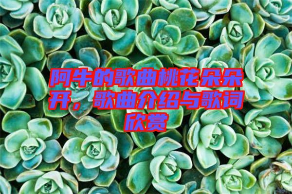 阿牛的歌曲桃花朵朵開，歌曲介紹與歌詞欣賞