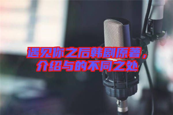 遇見你之后韓劇原著，介紹與的不同之處