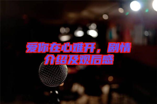 愛你在心難開，劇情介紹及觀后感