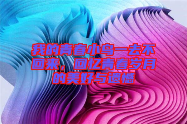 我的青春小鳥一去不回來，回憶青春歲月的美好與遺憾