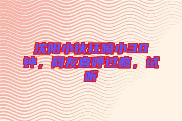 沈陽小伙狂噴小30鐘，網友直呼過癮，試聽