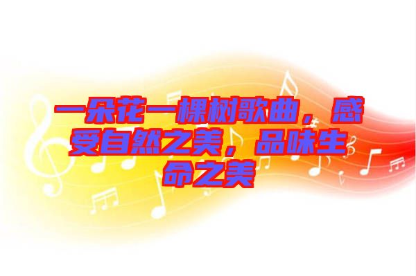 一朵花一棵樹歌曲，感受自然之美，品味生命之美