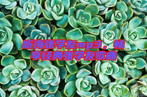 聽海張學友mp3，暢享經典張學友歌曲