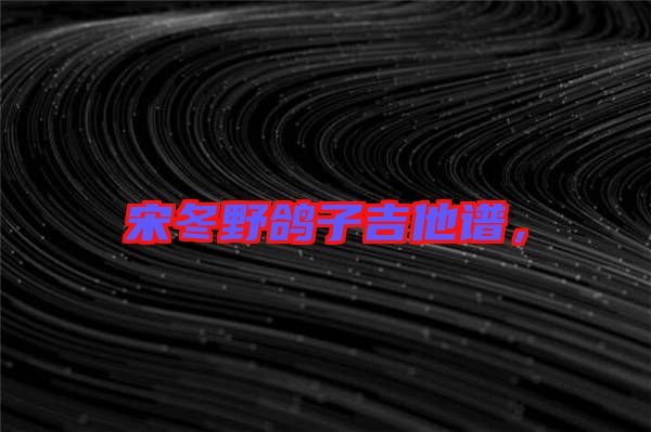 宋冬野鴿子吉他譜，