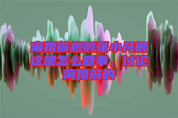 離婚前規則張小凡很這是怎么回事，討論離婚前的