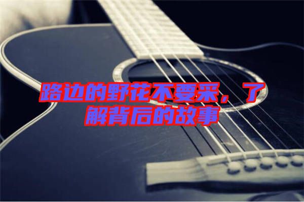 路邊的野花不要采，了解背后的故事