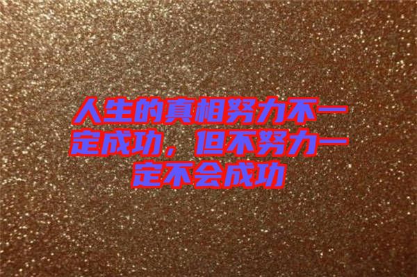 人生的真相努力不一定成功，但不努力一定不會成功
