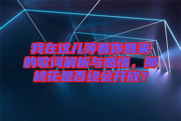 我在這兒等著你回來的歌詞解析與感悟，那桃花是否終會開放？