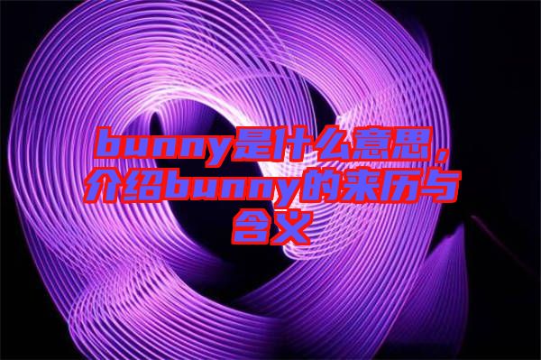 bunny是什么意思，介紹bunny的來歷與含義
