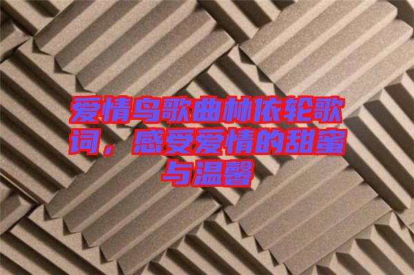 愛情鳥歌曲林依輪歌詞，感受愛情的甜蜜與溫馨