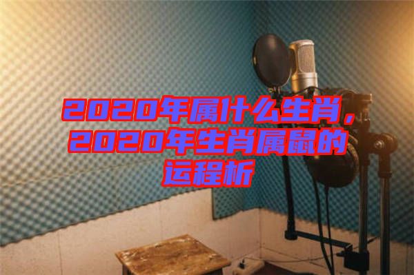 2020年屬什么生肖，2020年生肖屬鼠的運程析