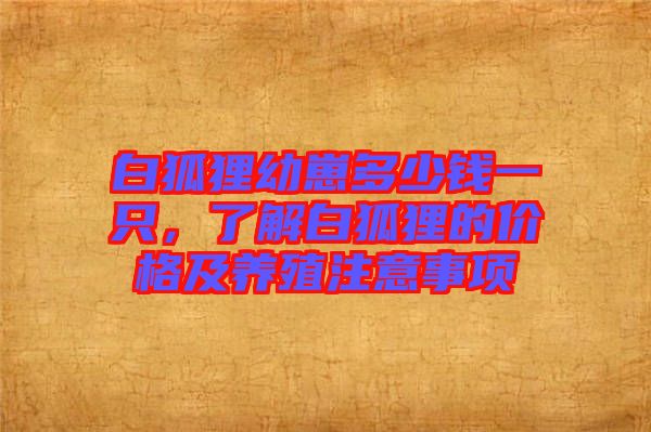 白狐貍幼崽多少錢一只，了解白狐貍的價格及養殖注意事項