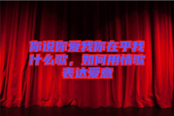 你說(shuō)你愛(ài)我你在乎我什么歌，如何用情歌表達(dá)愛(ài)意