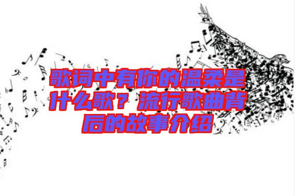 歌詞中有你的溫柔是什么歌？流行歌曲背后的故事介紹