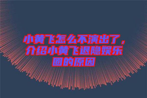 小黃飛怎么不演出了，介紹小黃飛退隱娛樂圈的原因