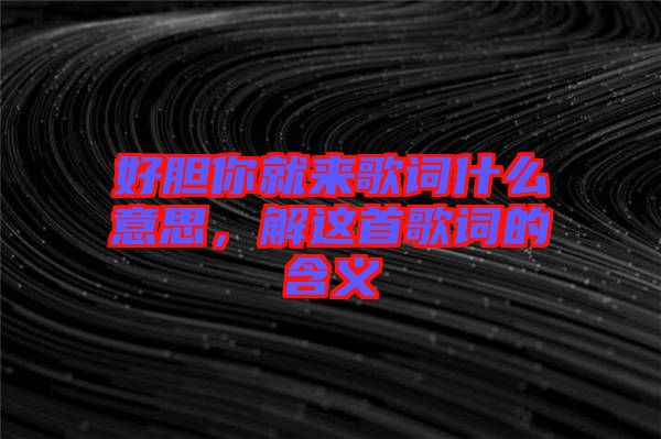 好膽你就來(lái)歌詞什么意思，解這首歌詞的含義
