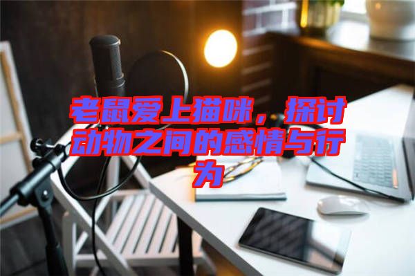 老鼠愛上貓咪，探討動(dòng)物之間的感情與行為