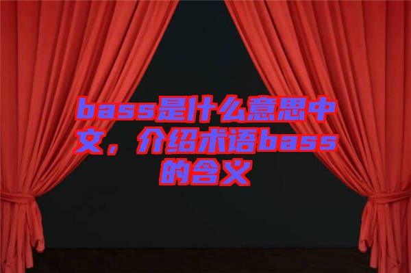 bass是什么意思中文，介紹術語bass的含義