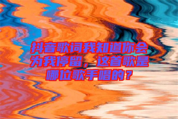 抖音歌詞我知道你會為我停留，這首歌是哪位歌手唱的？